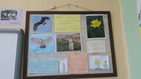 viber_slika_2021-11-05_11-53-23-224.jpg