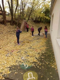 viber_slika_2021-11-07_09-03-57-550.jpg