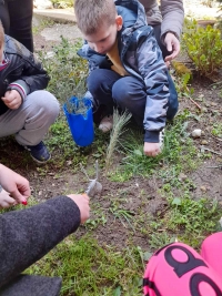 viber_slika_2023-04-06_20-15-18-977.jpg
