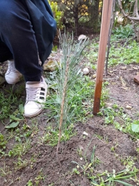 viber_slika_2023-04-06_20-15-19-325.jpg
