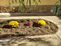 viber_slika_2021-11-06_11-32-05-452.jpg