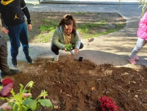 viber_slika_2021-11-06_11-32-46-548.jpg