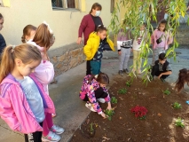 viber_slika_2021-11-06_11-32-54-842.jpg