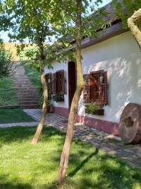 viber_slika_2021-09-27_16-41-06-300.jpg