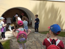 viber_slika_2021-05-27_12-52-1.jpg