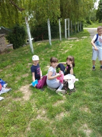 viber_slika_2021-05-27_12-52.jpg