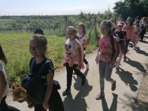 viber_slika_2021-05-27_12-59-12.jpg