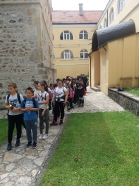 viber_slika_2021-05-27_13-06-40.jpg