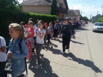 viber_slika_2021-05-27_13-06-45.jpg