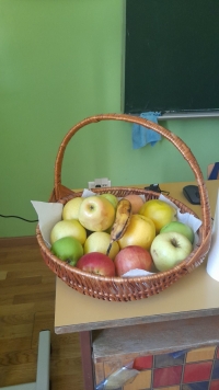 viber_slika_2022-10-23_19-15-49-500.jpg
