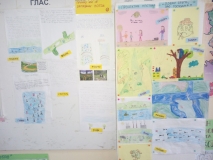 viber_slika_2020-11-20_12-38-35.jpg