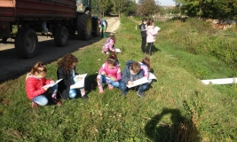 viber_slika_2020-11-23.jpg
