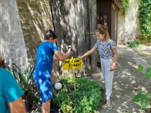 viber_slika_2022-06-07_17-22-00-212.jpg