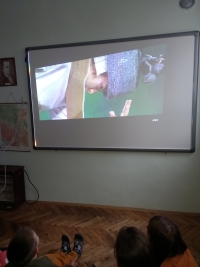 viber_slika_2022-10-10_10-53-43-404.jpg